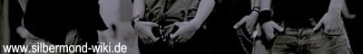 Silbermond-wiki (Banner) 6.jpg